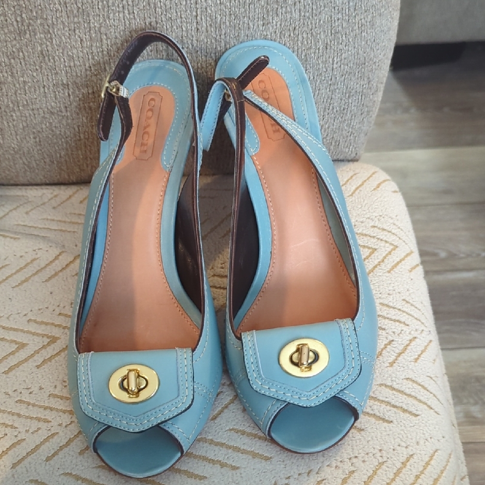 Coach Blue and Brown Heels with Timeless Design